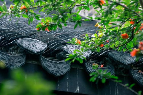 早晨起床下雨的说说 清晨下雨的唯美句子