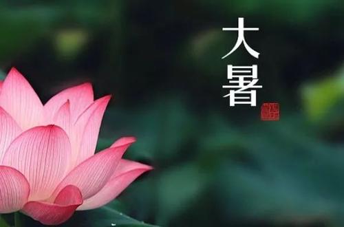 大暑节气祝福语大全