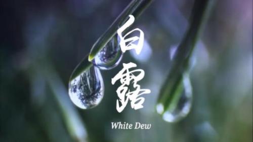 白露节气的朋友圈说说