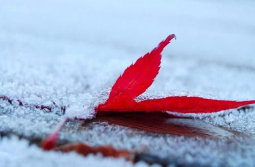 第一次下雪的说说简短 适合下雪发朋友圈的句子