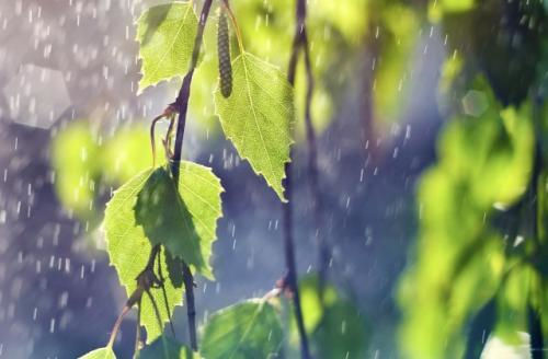 适合雨夜的朋友圈说说文案 雨夜听雨唯美句子