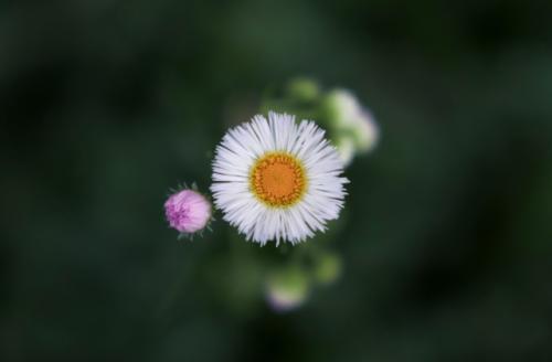 第一次过母亲节发的文案 第一个母亲节的朋友圈说说