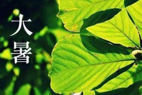 大暑节气发朋友圈的句子