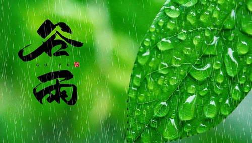 描绘谷雨的优美语句2021谷雨的好词好句摘录句