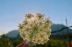 写给迷茫无助的自己说说精选50句