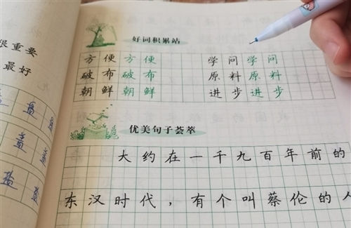 表扬同学们认真写作业的好句子