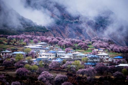 桃花的唯美句子形容桃花风景优美的短句