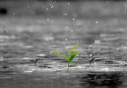 雨天正能量的句子雨天短句暖心话正能量