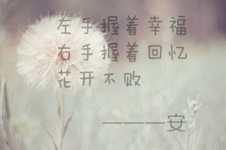 最唯美的句子爱情语录 如此温暖过一生