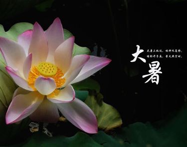 2021大暑节气的心情说说 大暑的经典祝福语文案