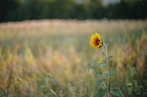 正月十五元宵节放孔明灯的说说 放孔明灯的唯美心情说说2022