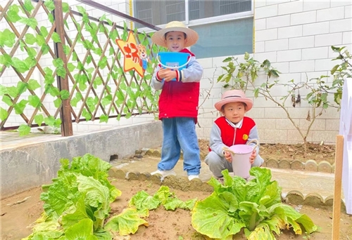 小学生种植园创意标语