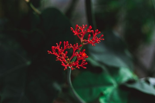 光棍节送给女朋友的句子