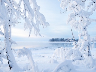 下雪了的说说朋友圈 下雪发朋友圈唯美短句暖心