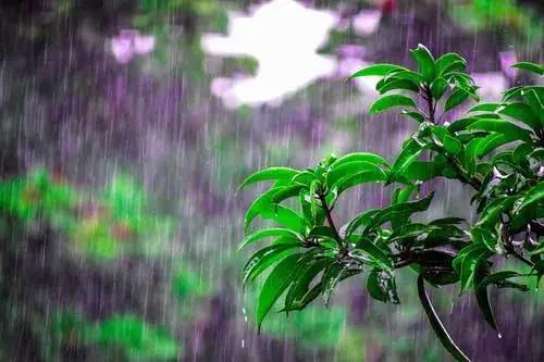 下春雨的心情说说 下春雨的心情说说朋友圈