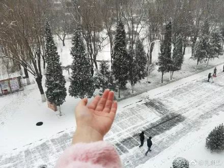 发朋友圈下雪高端句子 下雪了晒朋友圈怎么说