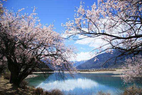 治愈系简短句子 治愈系短句温暖文字