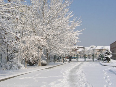 下雪时发的温柔文案