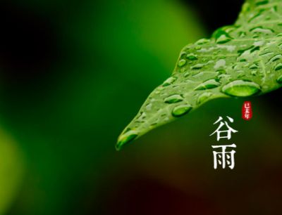 2022年谷雨节气说说带图片 好听的谷雨说说2022