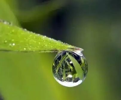 蒙蒙细雨心情很好的唯美句子 走在蒙蒙细雨中心情好的句子