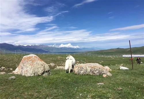 一句话赞美家乡的风景